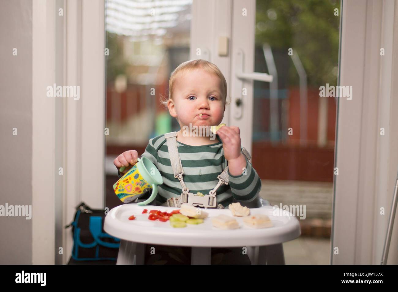 Un jeune enfant assis sur une chaise haute au dîner tient sa boisson et prend un morceau de nourriture. Banque D'Images