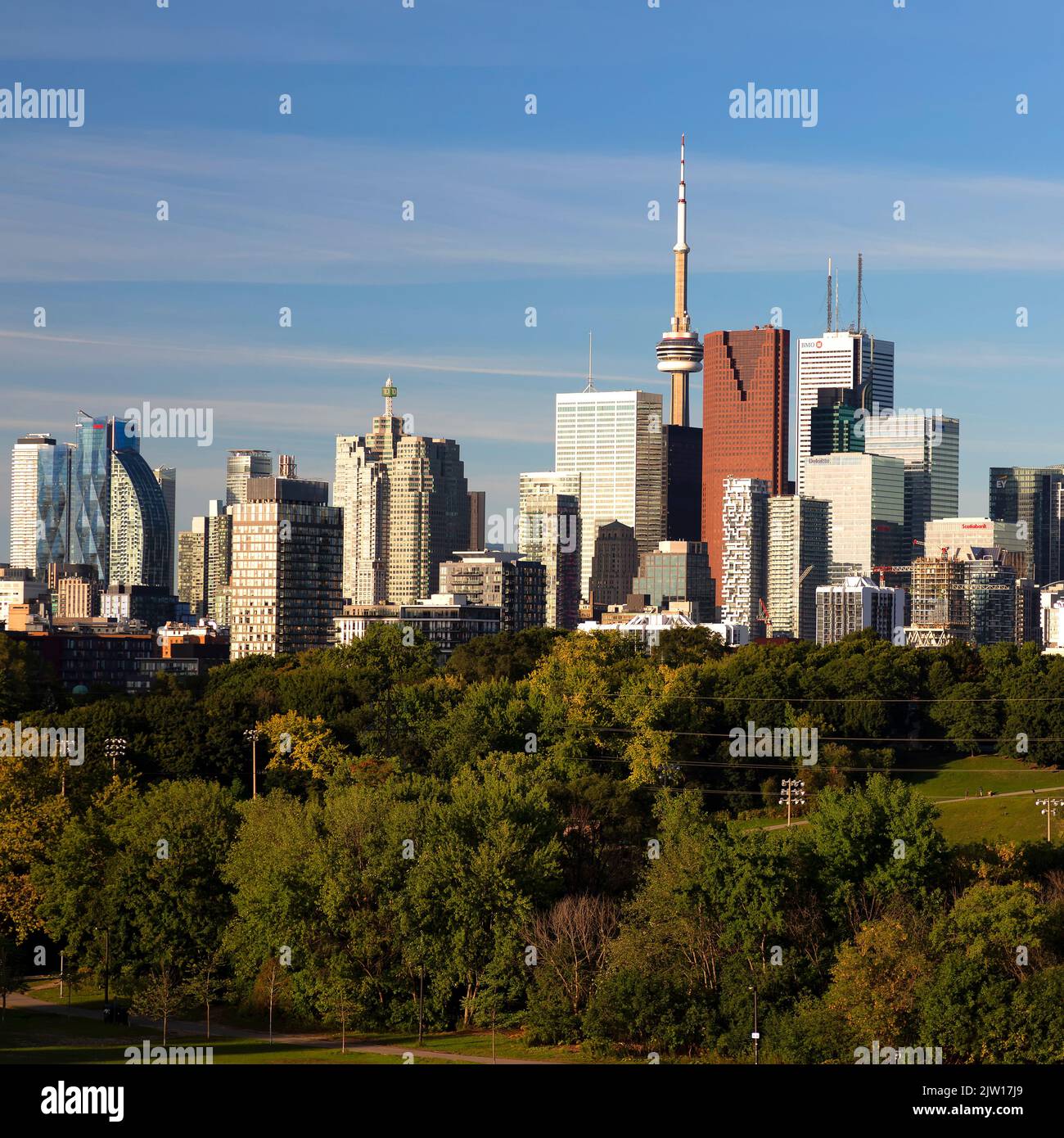 Horizon de Toronto depuis le parc Riverdale. Toronto, Ontario, Canada. Banque D'Images