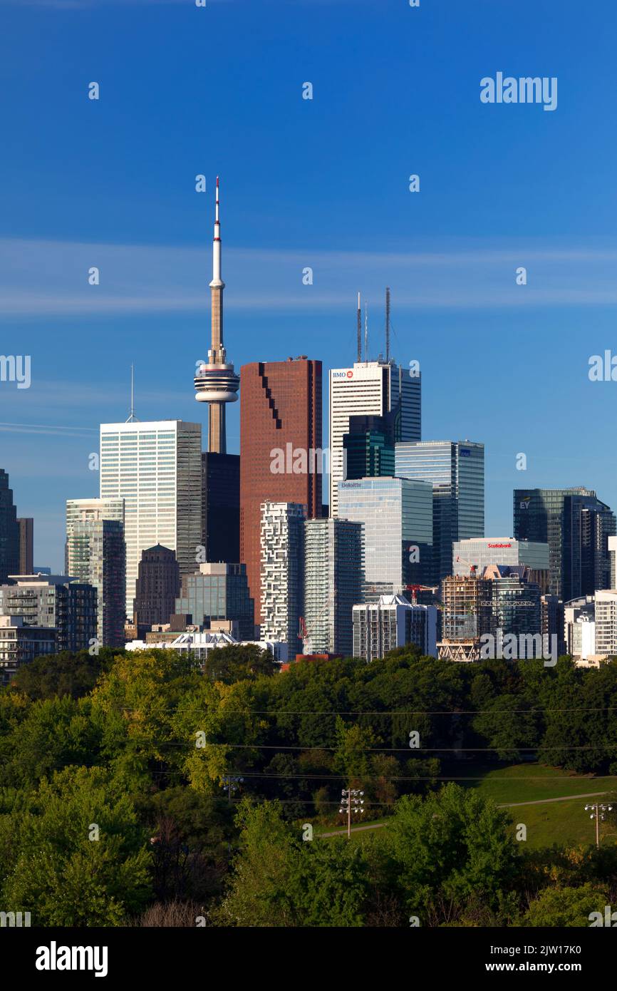 Horizon de Toronto depuis le parc Riverdale. Toronto, Ontario, Canada. Banque D'Images