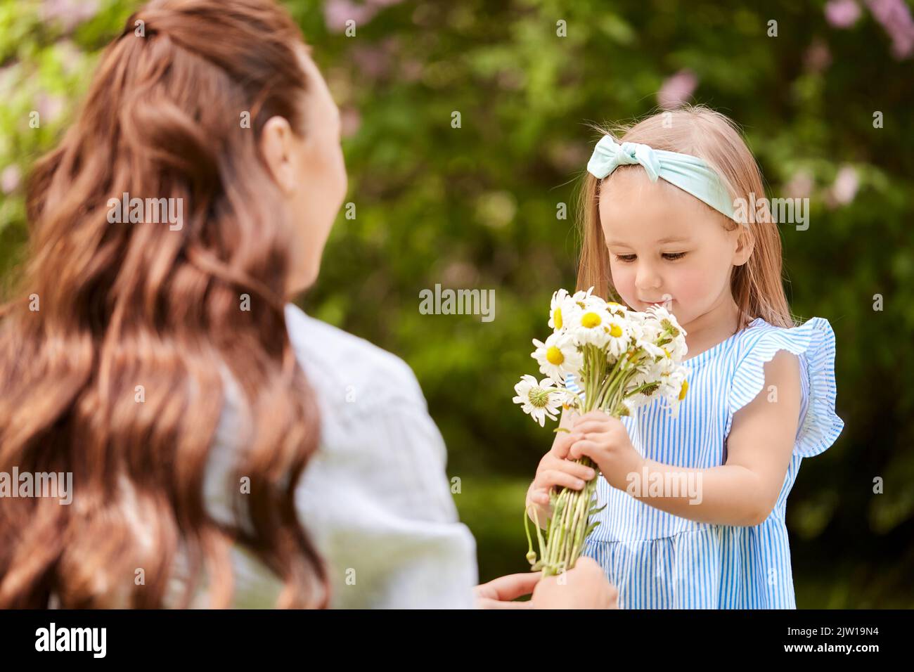 bonne mère et fille avec des chamomiles au parc Banque D'Images