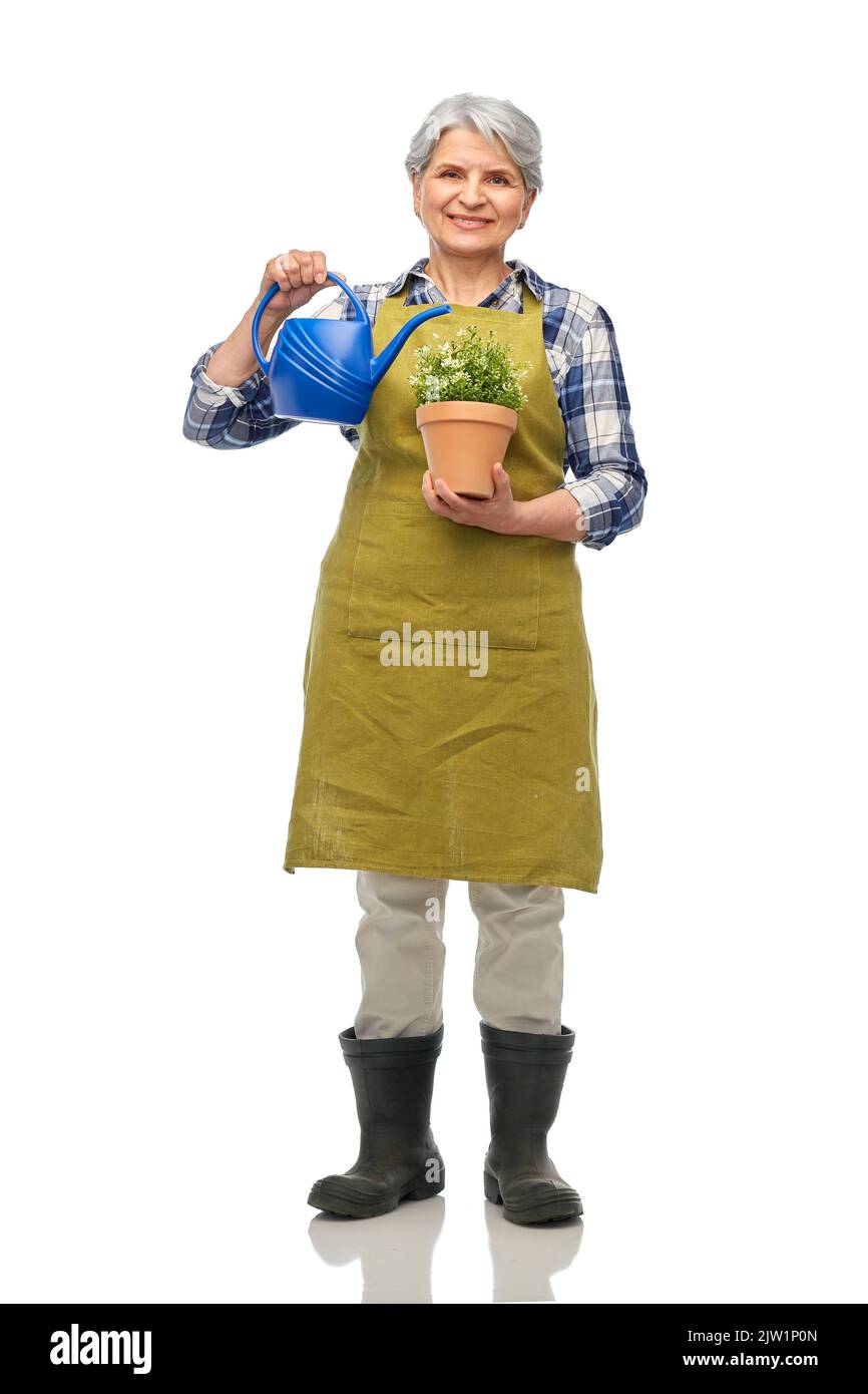 jardinier senior avec fleur et arrosoir Banque D'Images