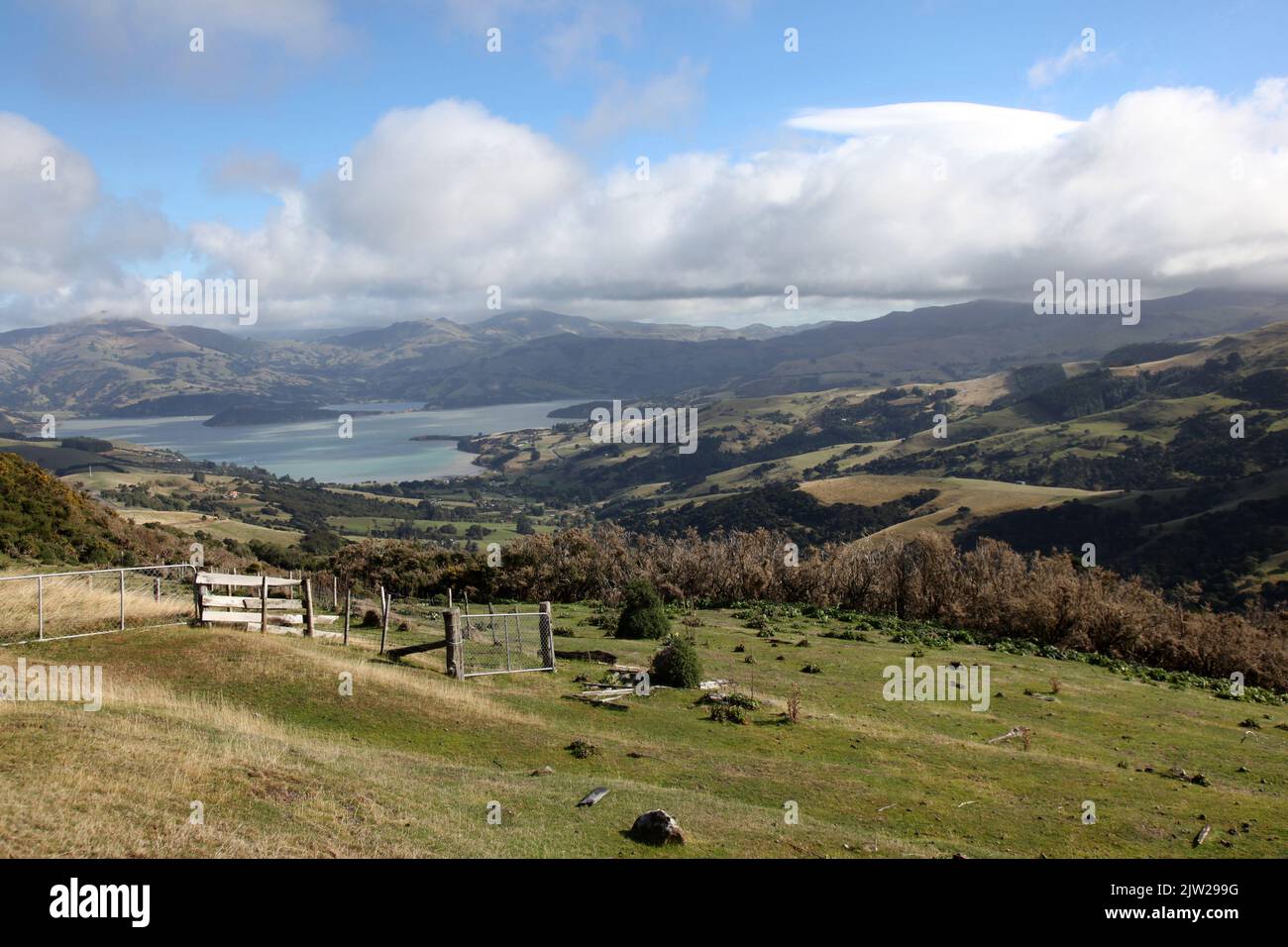 Paysage agricole balayé par le vent près d'Akaroa dans l'île du Sud de la Nouvelle-Zélande. La région de la péninsule de Banks est une destination touristique. Banque D'Images