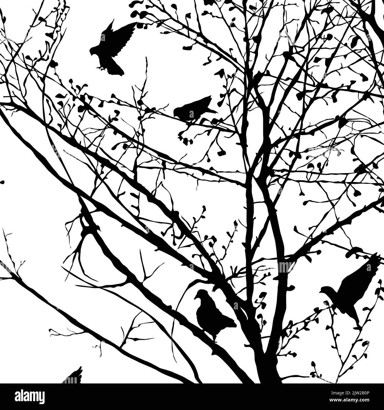 Illustration de fond avec des silhouettes de pigeons dans les arbres, vector Banque D'Images