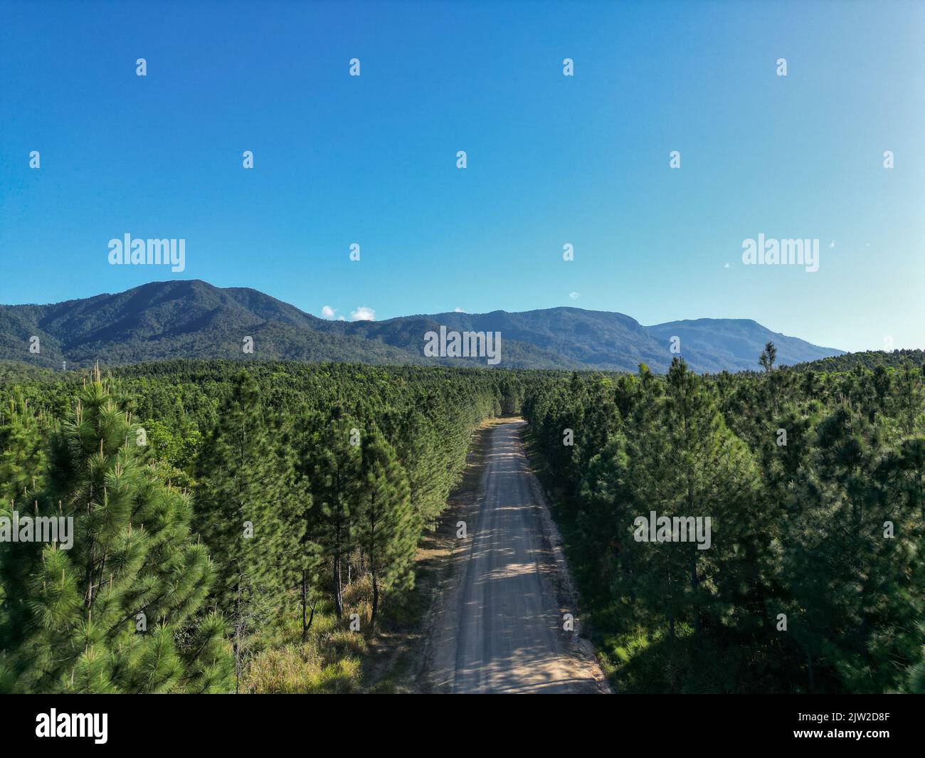 Photo aérienne de la route tropicale dans la forêt avec les montagnes et le ciel bleu clair Banque D'Images