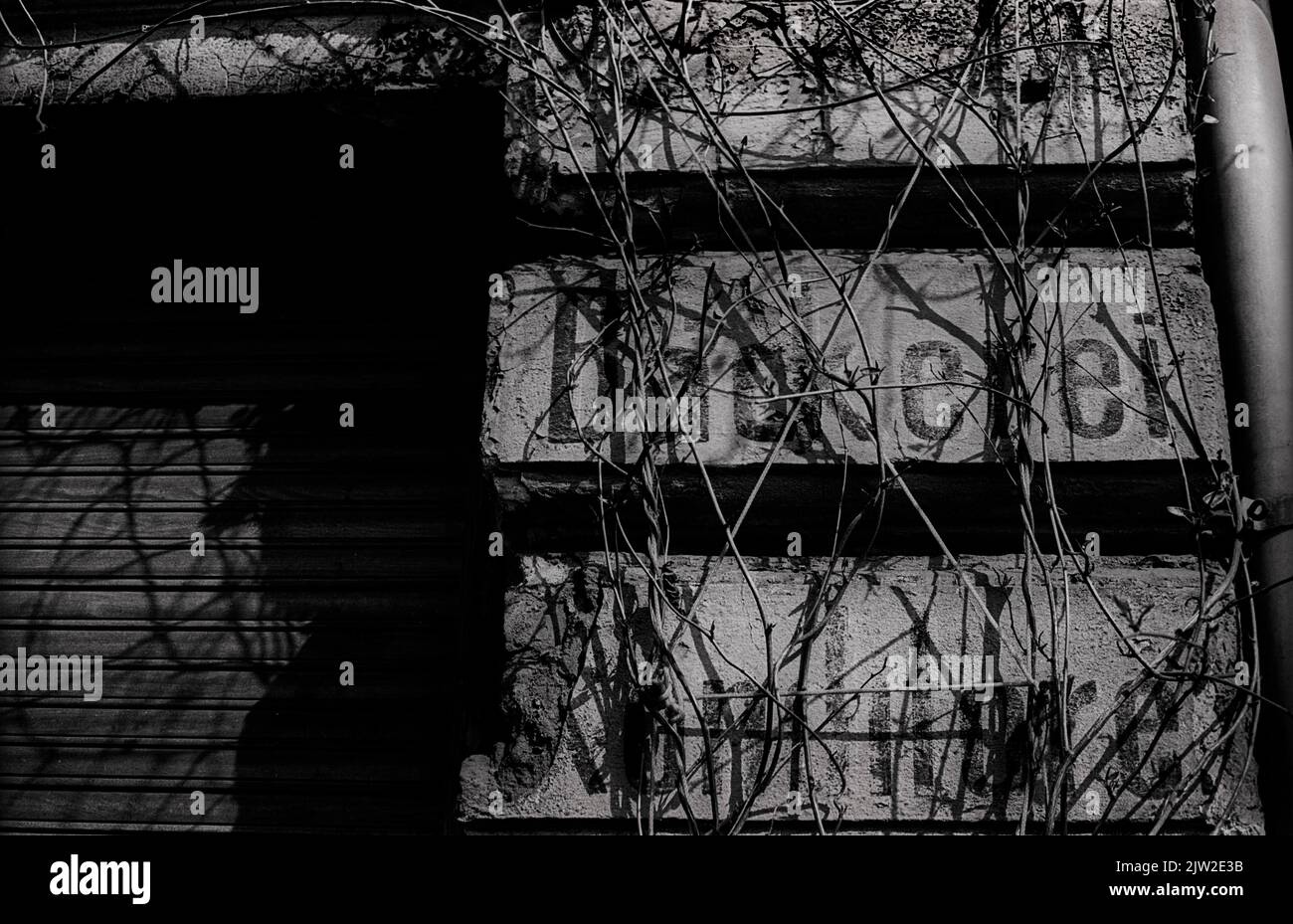 GDR, Berlin, 5. 4. 1988, ancienne boulangerie ?, ???, fermée, volets Banque D'Images