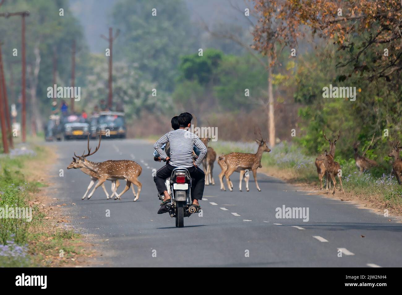 L'homme contre la nature Banque D'Images