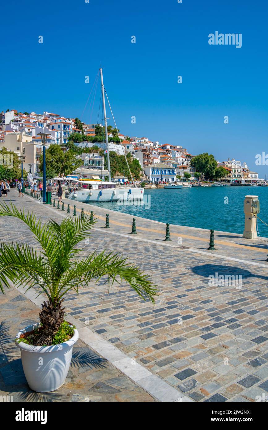 Vue sur la vieille ville et la promenade, la ville de Skopelos, l'île de Skopelos, les îles Sporades, les îles grecques, Grèce, Europe Banque D'Images