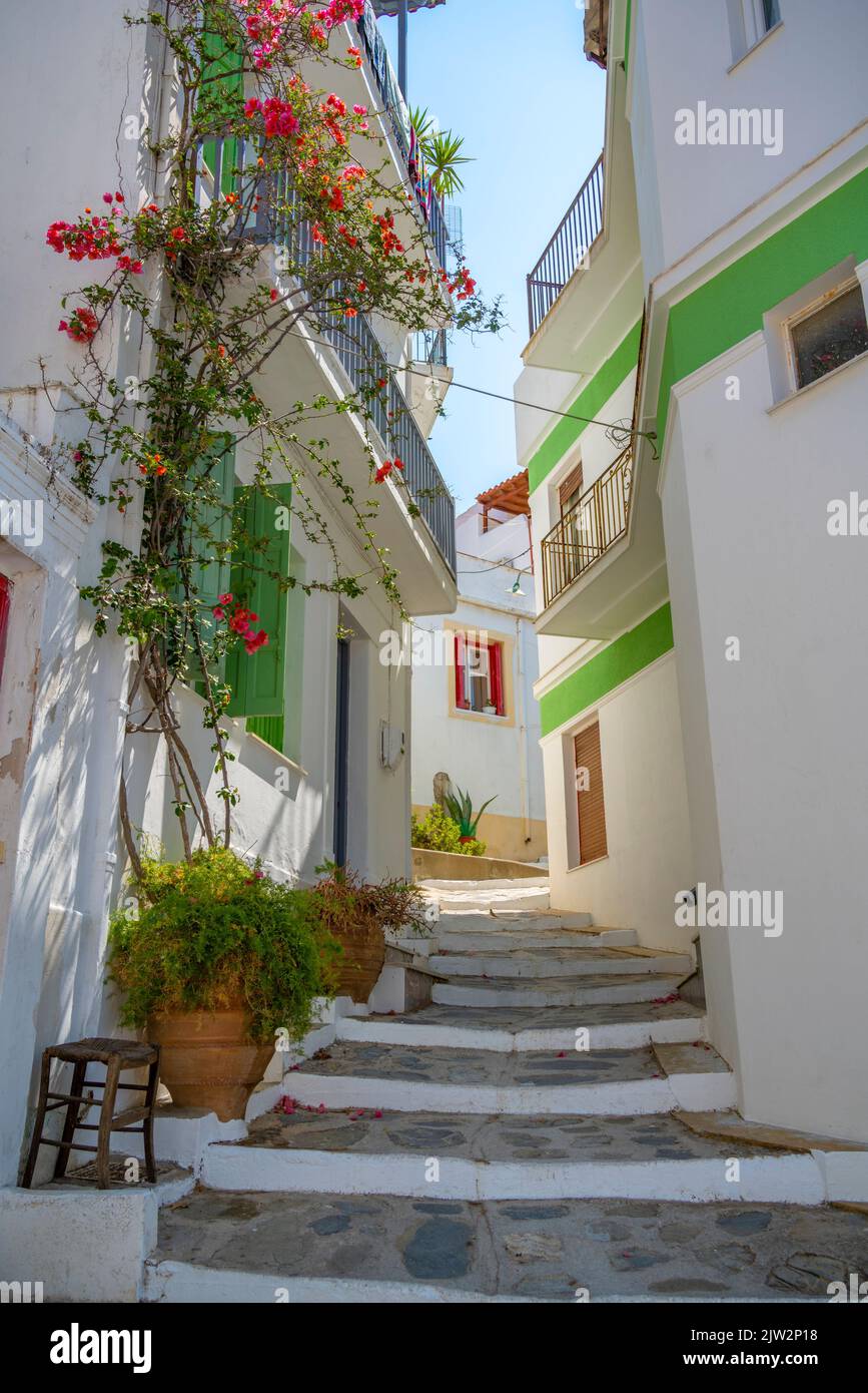 Vue sur l'étroite rue blanchie à la chaux, la ville de Skopelos, l'île de Skopelos, les îles Sporades, les îles grecques, Grèce, Europe Banque D'Images