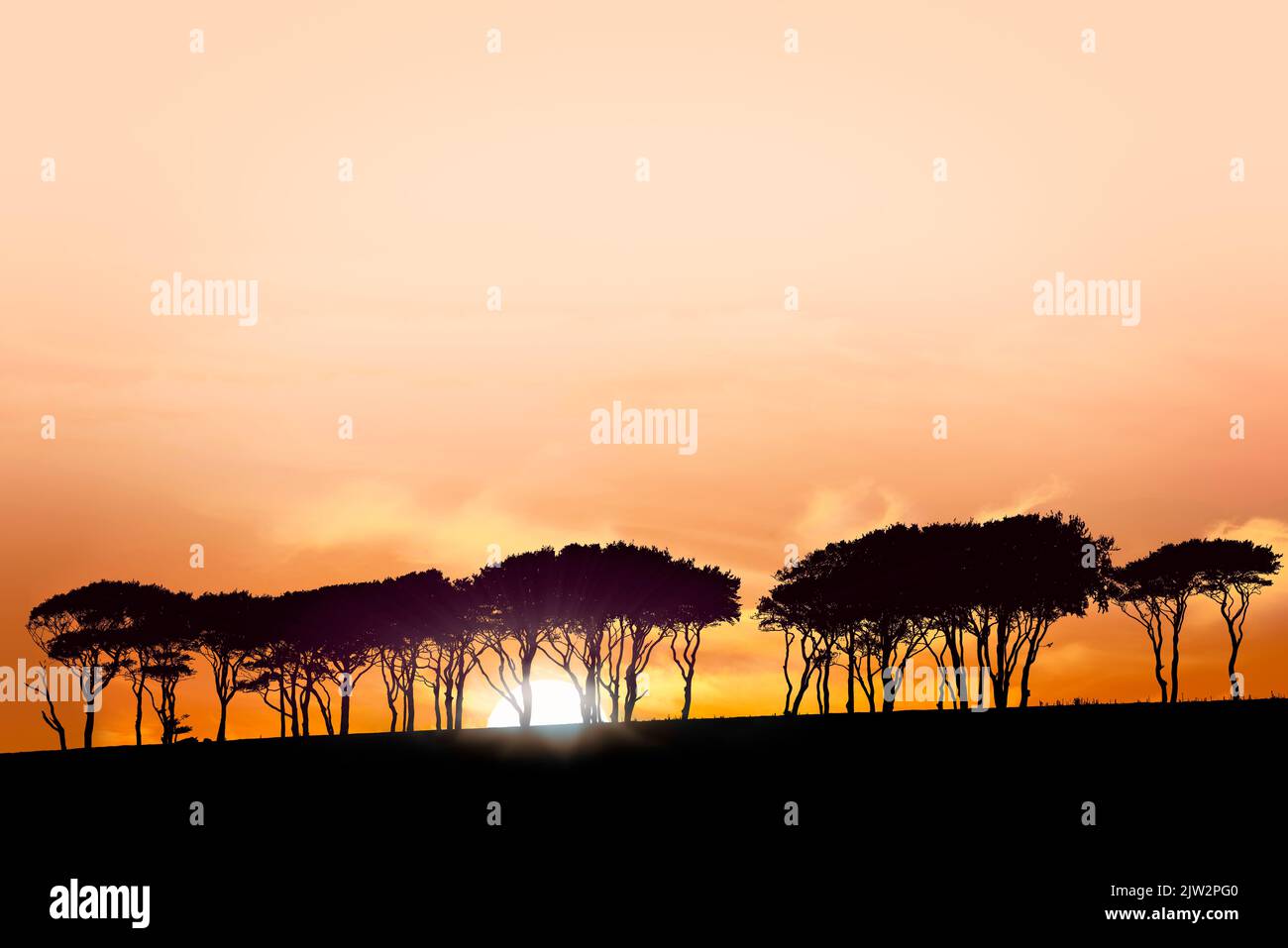 Le soleil descend sous un escarpement bordé d'arbres dans le North Devon. Banque D'Images