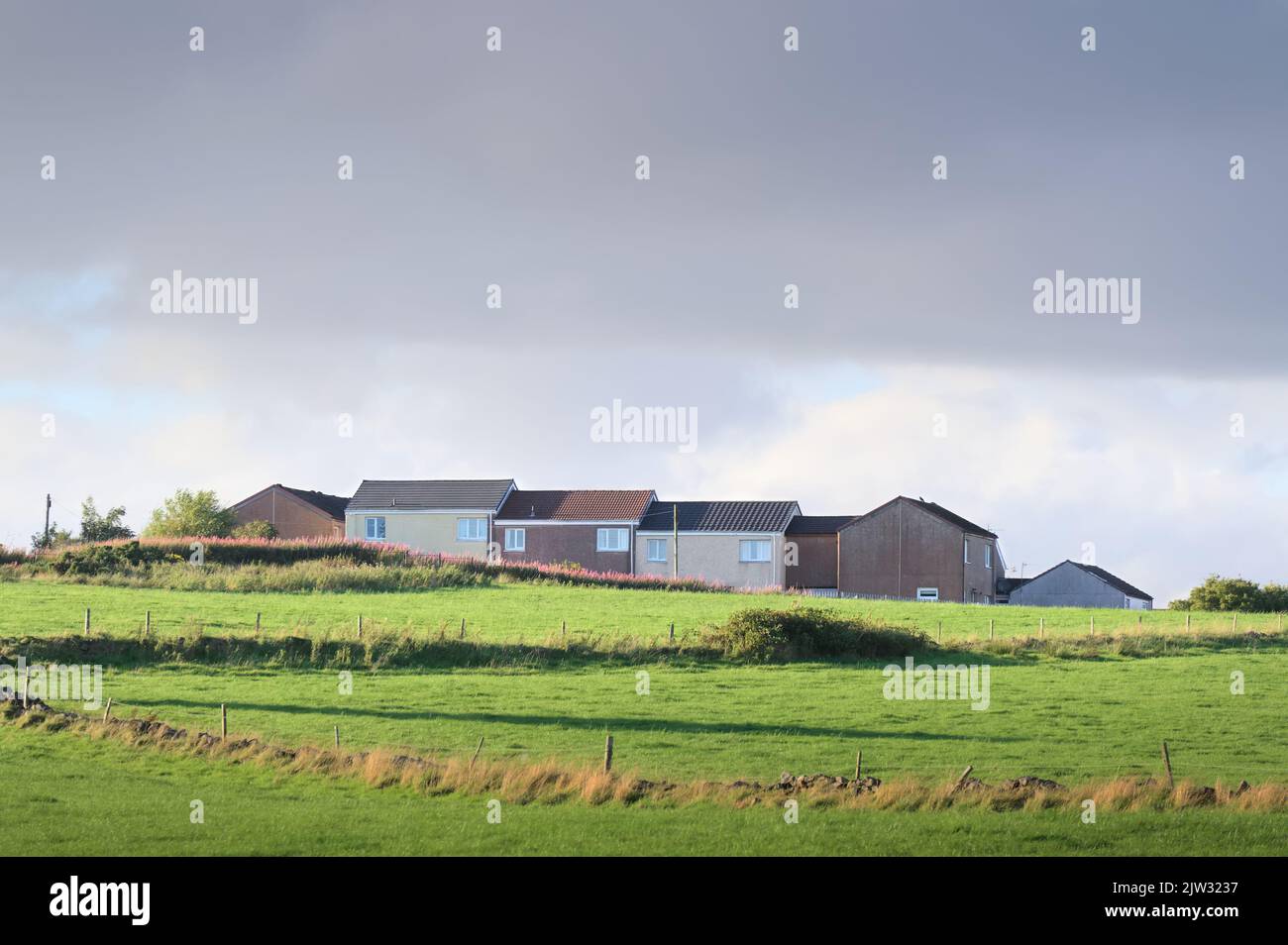 A Port Glasgow, le conseil a dératé la maison dans un bidonville immobilier pauvre avec de nombreuses questions de bien-être social Banque D'Images