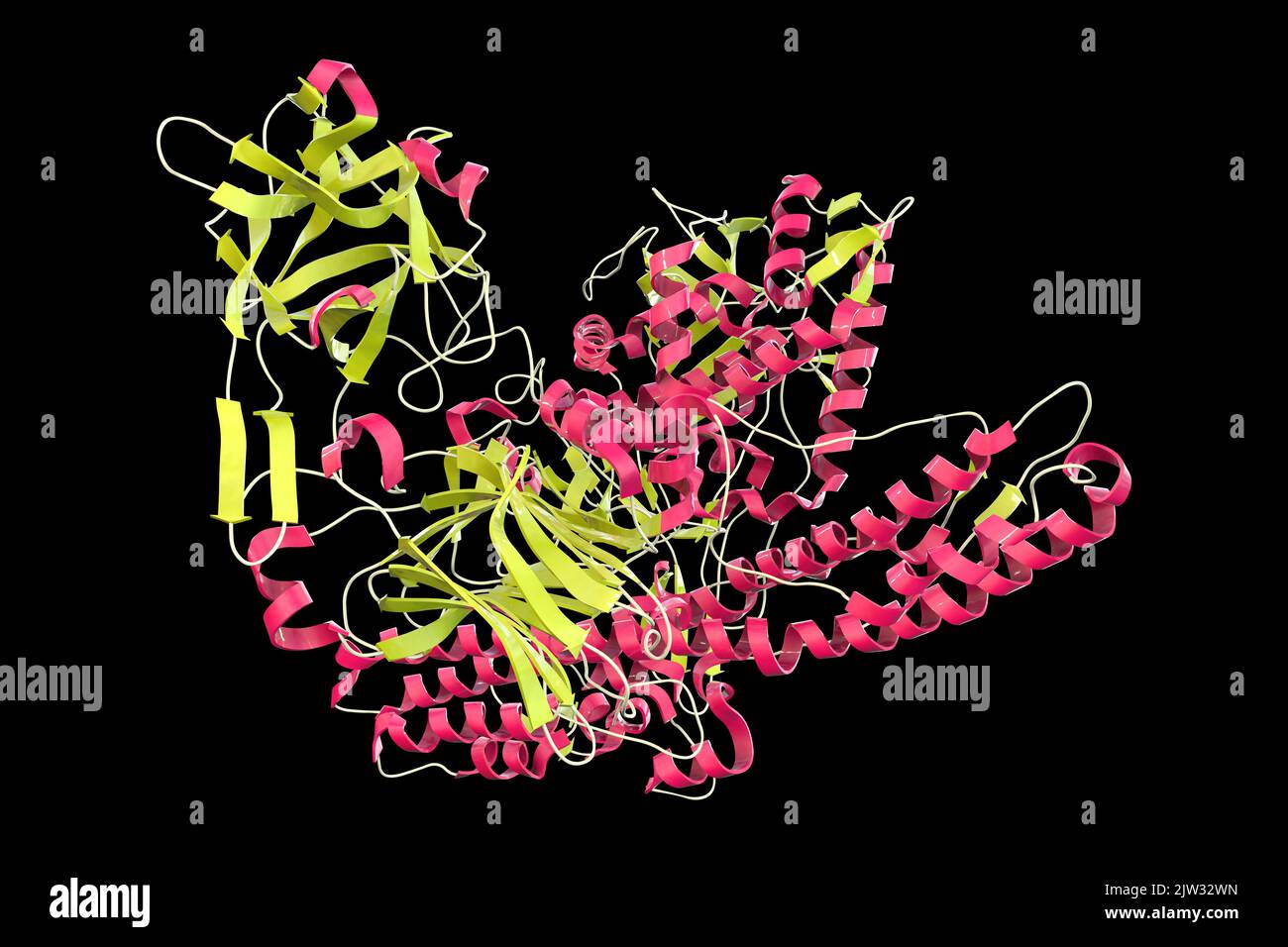 Molécule de neurotoxine tétanique, illustration. Il s'agit d'une protéine neurotoxique produite par la bactérie Clostridium tetani, l'agent responsable du tétanos. Banque D'Images