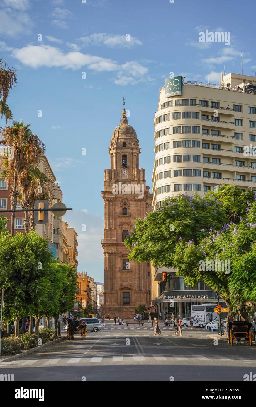 Clocher de la cathédrale de Málaga ou Catedral de la Encarnación de Malaga, Andalousie Espagne du Sud. Banque D'Images