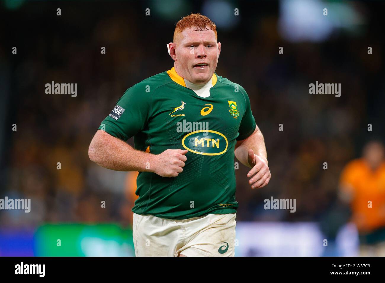 Sydney, Australie. 03rd septembre 2022. Steven Kitshoff, de Springboks, se présente lors du match de rugby eToro entre l'Australie et l'Afrique du Sud, à l'Allianz Stadium, Sydney, Australie, le 3 septembre 2022. Photo de Peter Dovgan. Utilisation éditoriale uniquement, licence requise pour une utilisation commerciale. Aucune utilisation dans les Paris, les jeux ou les publications d'un seul club/ligue/joueur. Crédit : UK Sports pics Ltd/Alay Live News Banque D'Images