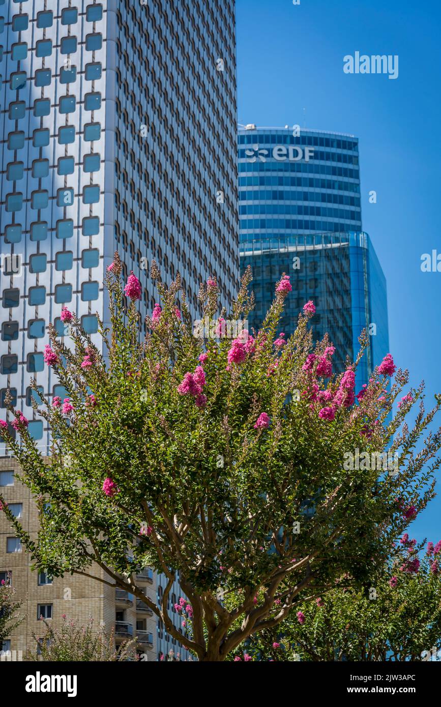 La place basse jardin, espace vert dans le centre de l'axe de la Défense, un quartier d'affaires majeur situé à 3 kilomètres à l'ouest de la ville de Paris, Fran Banque D'Images La place basse jardin, espace vert dans le centre de l'axe de la Défense, un quartier d'affaires majeur situé à 3 kilomètres à l'ouest de la ville de Paris, Fran Banque D'Images