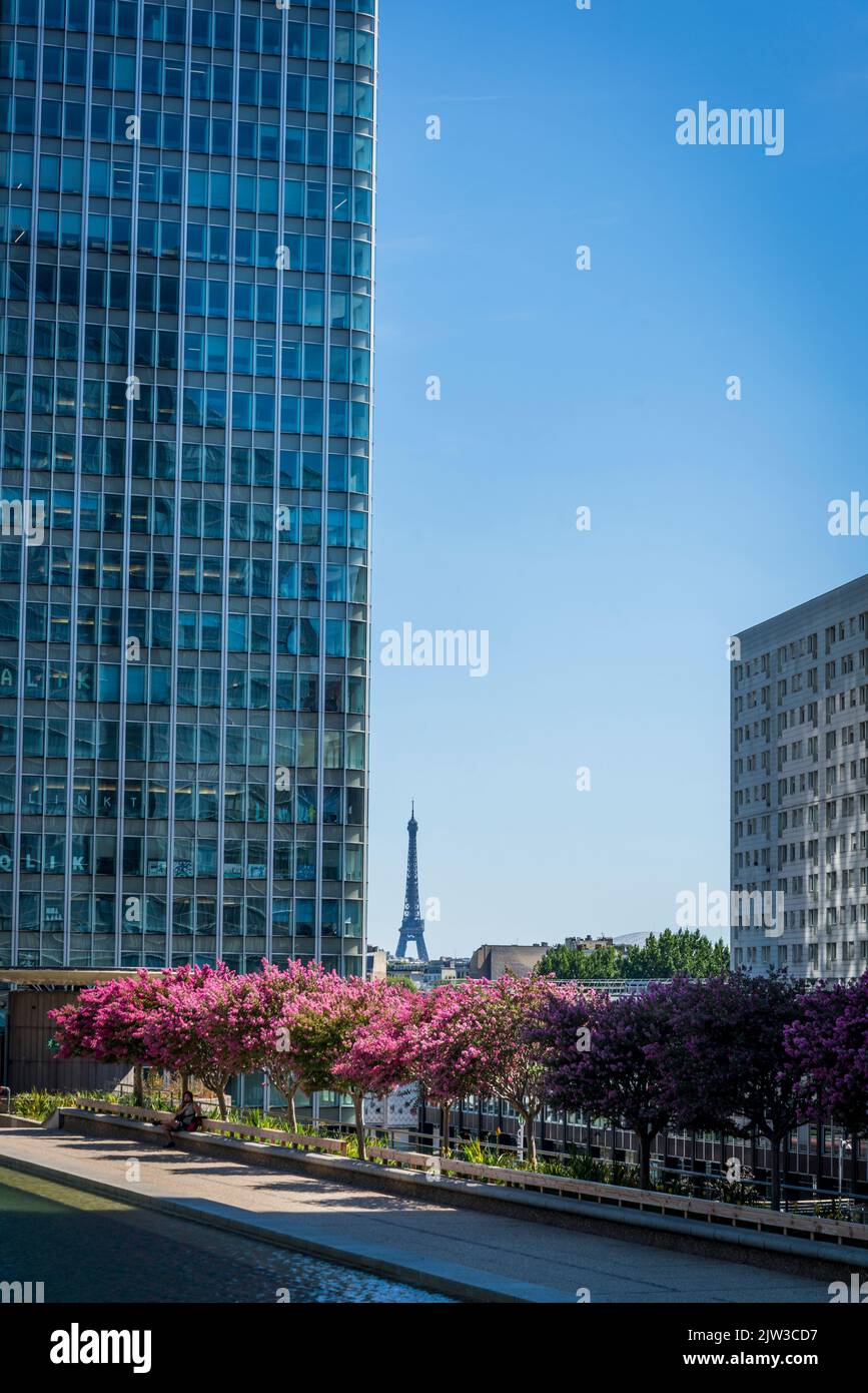 La Tour Eiffel vue de la Défense, un important quartier d'affaires situé à 3 kilomètres à l'ouest des limites de la ville de Paris, France Banque D'Images La Tour Eiffel vue de la Défense, un important quartier d'affaires situé à 3 kilomètres à l'ouest des limites de la ville de Paris, France Banque D'Images