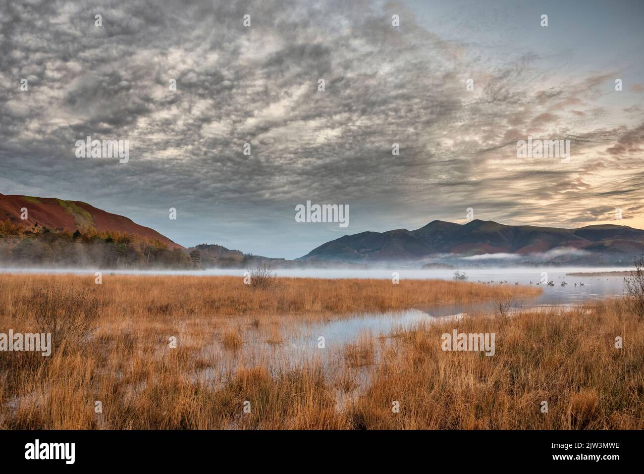 Image épique du paysage d'automne au lever du soleil en regardant depuis Manesty Park dans le lac Distict vers Skiddaw Range baigné de soleil avec mit roulant à travers Derwentwater Banque D'Images