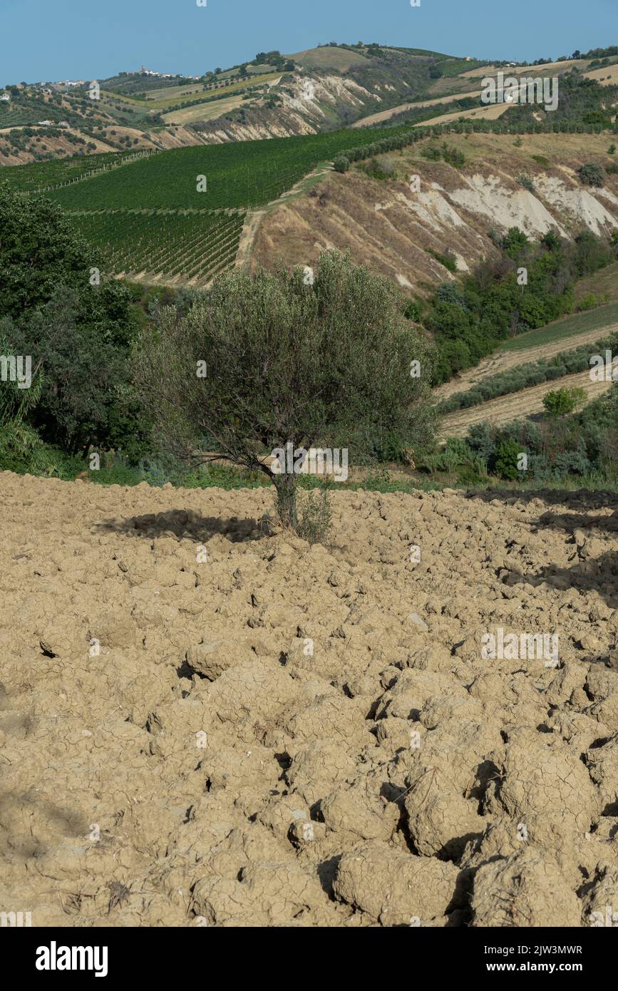 Les Abruzzes est une région italienne située à l'est de Rome, entre l'Adriatique et les Apennines. Banque D'Images