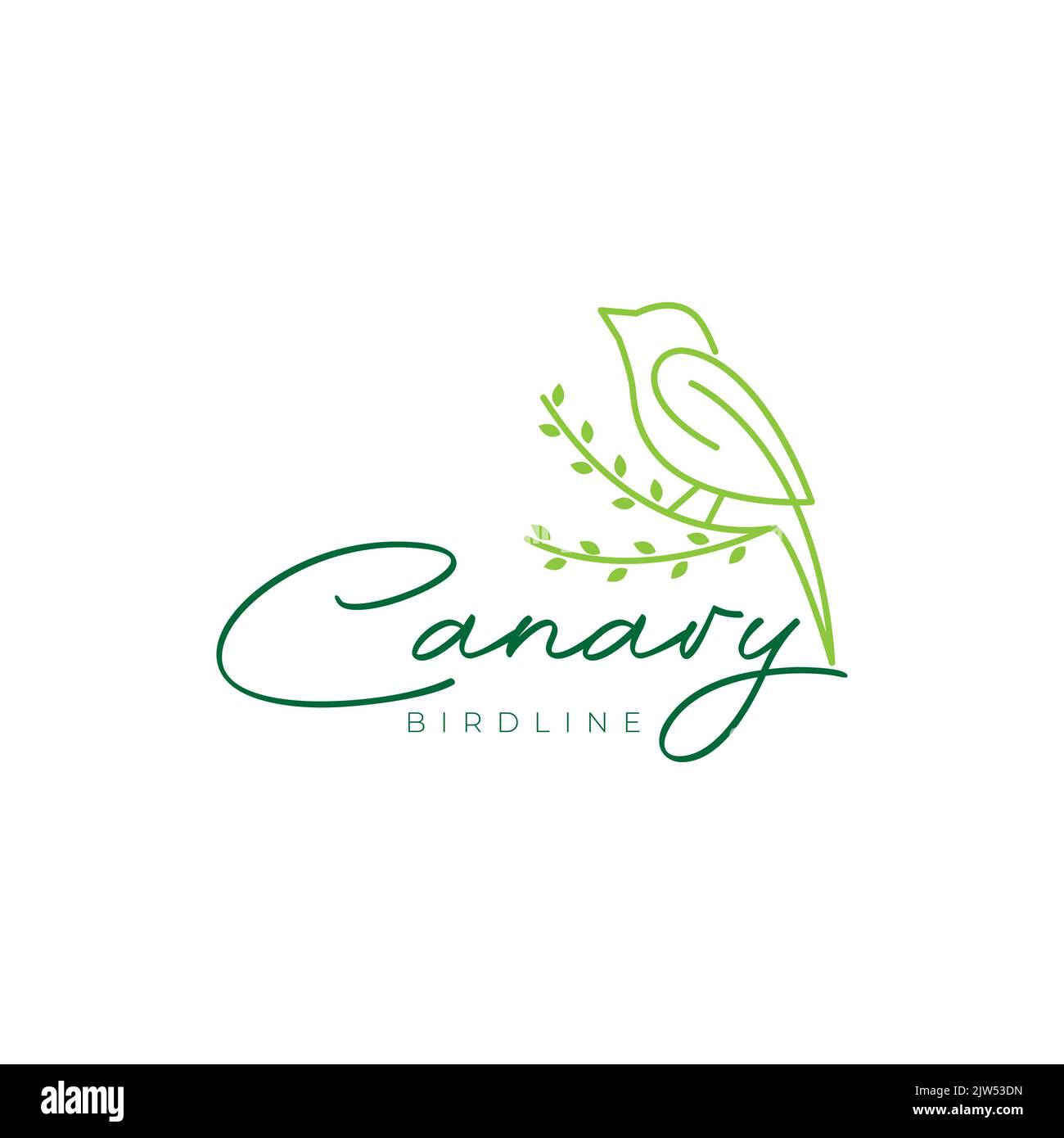 design minimaliste avec logo « oiseau de beauté canari » Illustration de Vecteur