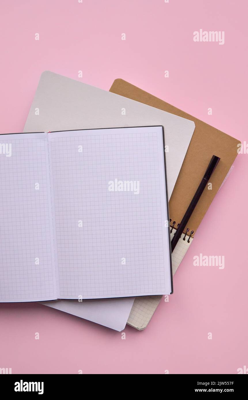 Ouvrez les carnets et le stylo sur fond rose pastel, plat vertical tendance. Banque D'Images