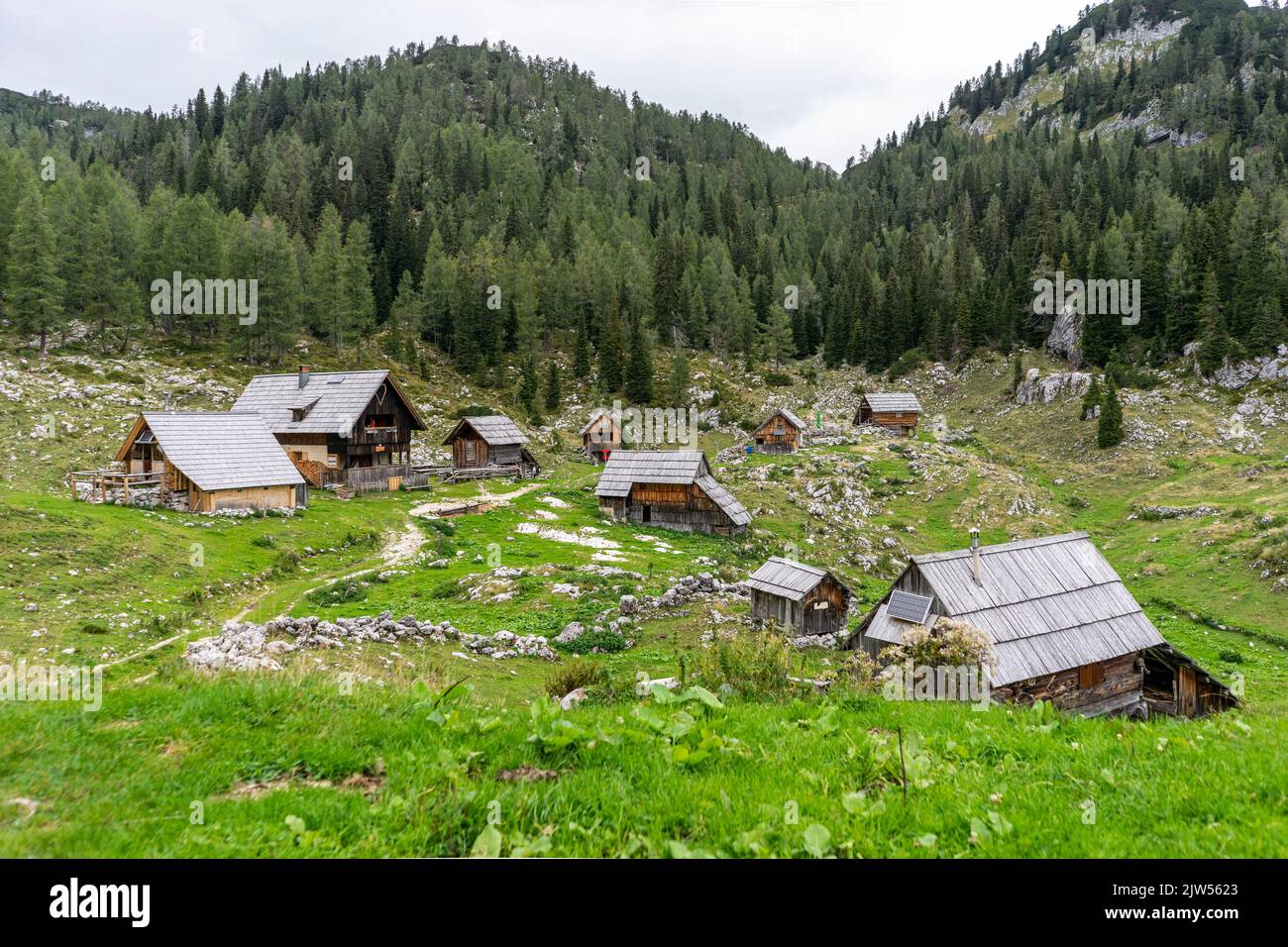 Les huttes de Shepherd sont utilisées chaque été pendant des siècles. Quelques mois, le berger et le bétail restent dans les plateaux de pâturage de Bohinj. Banque D'Images