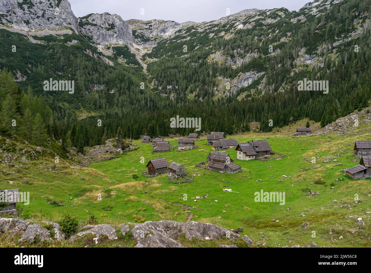 Les huttes de Shepherd sont utilisées chaque été pendant des siècles. Quelques mois, le berger et le bétail restent dans les plateaux de pâturage de Bohinj. Banque D'Images