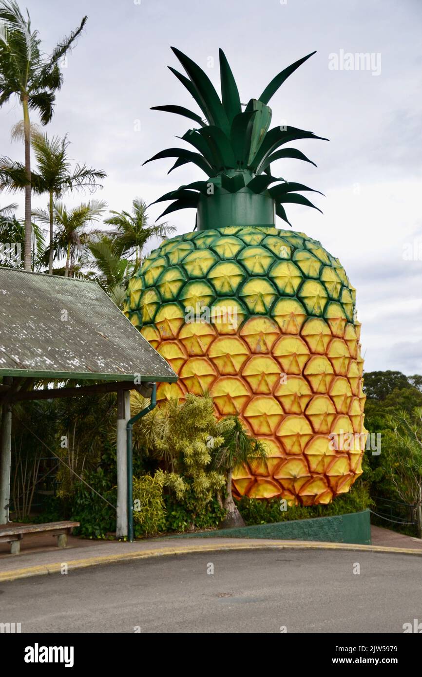 Le gros ananas est un morceau de ciment promotionnel de fruit géant à Nambour, Queensland et une partie de la culture australienne d'aimer les grandes choses. Banque D'Images