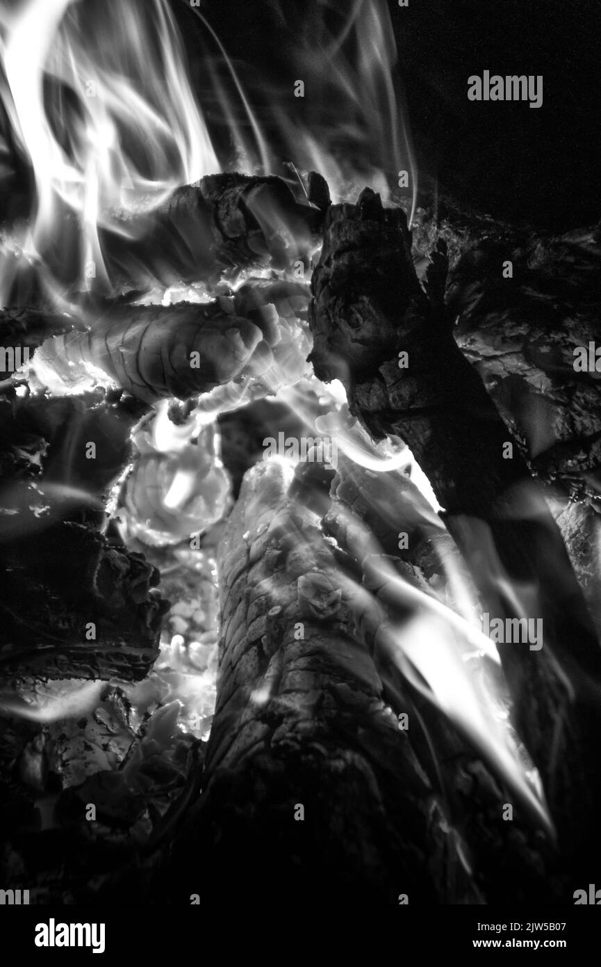 Un cliché vertical de bois brûlé au feu en niveaux de gris Banque D'Images