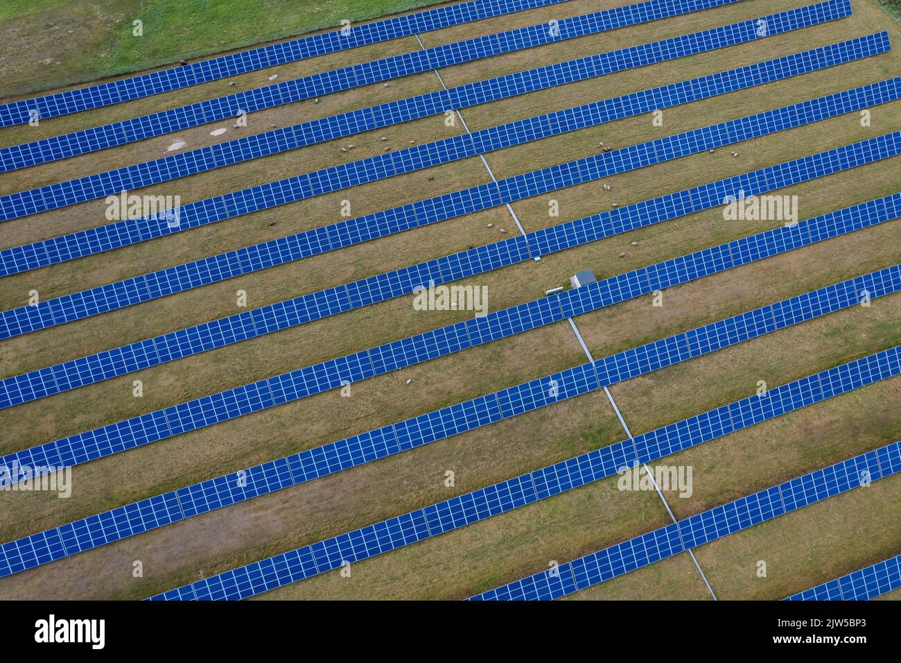 Vue aérienne des panneaux solaires sur un champ d'herbe verte. Source d'énergie alternative. Banque D'Images