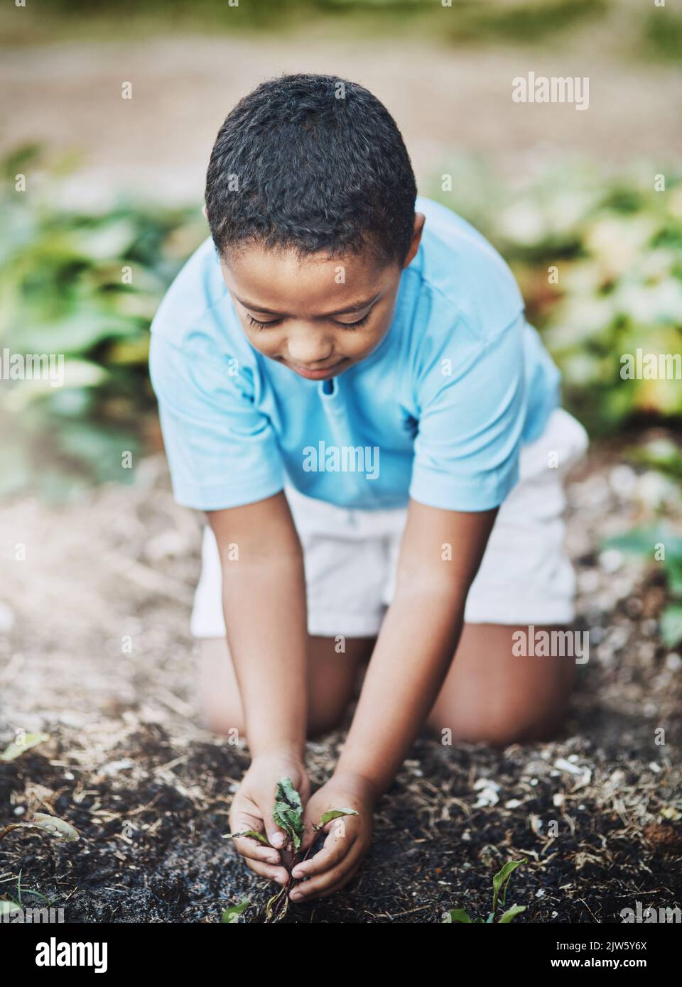 Un petit garçon jardinant à l'extérieur. Banque D'Images