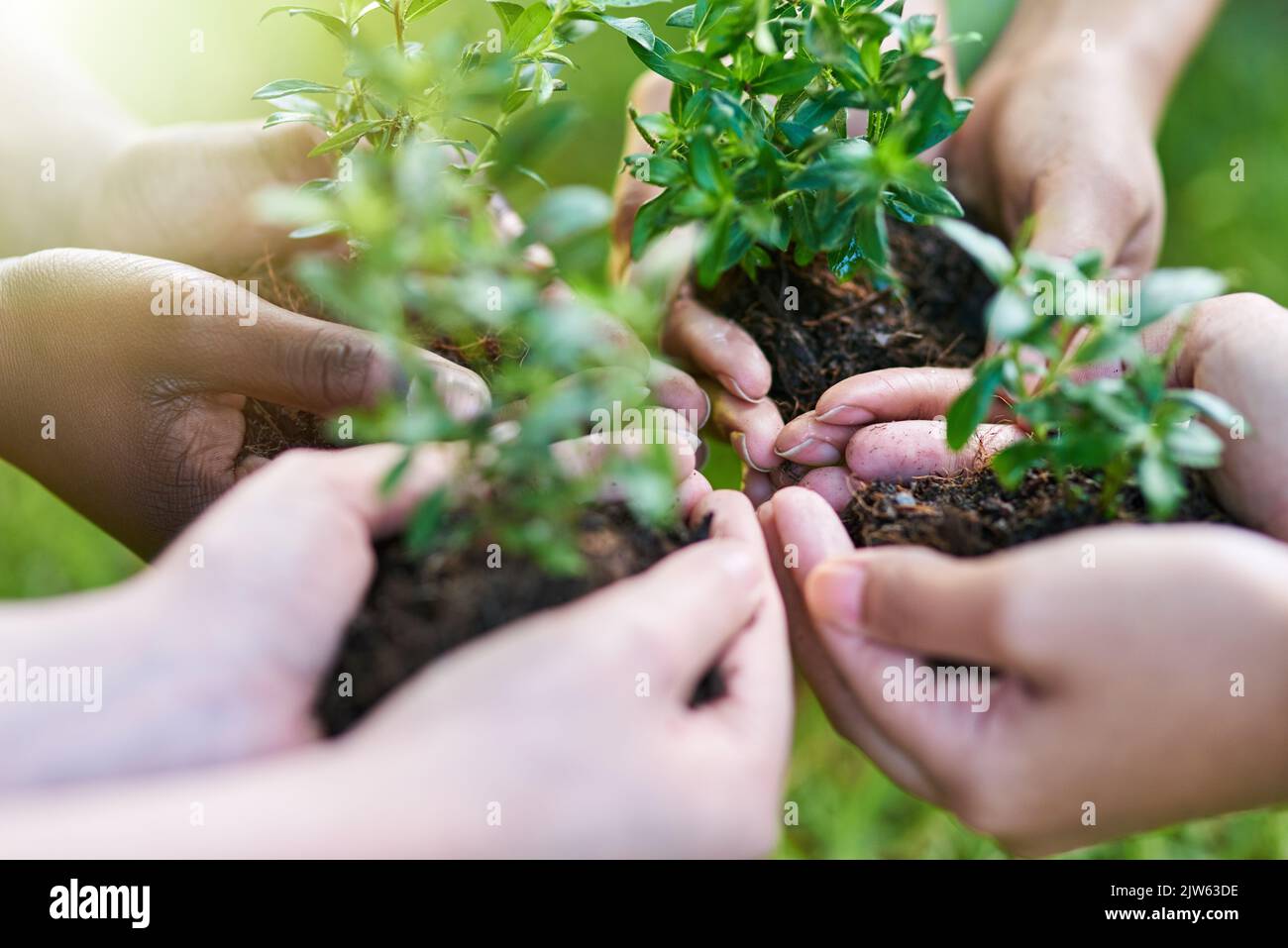 Nouveaux débuts. Quatre personnes chacune tenant une plante poussant dans le sol. Banque D'Images