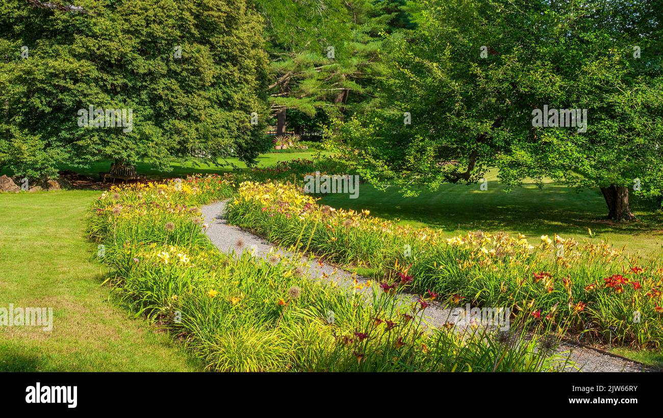 The Daylily Walk - un jardin d'exposition de la Daylily Society américaine avec plus de 200 cultivars Daylily. Jardin botanique Berkshire, Stockbridge, ma Banque D'Images