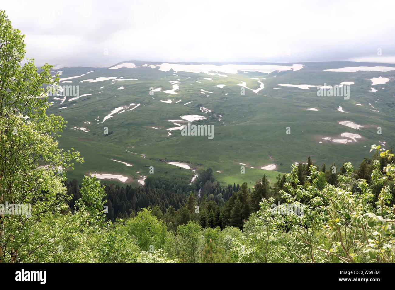 Vue sur le plateau Lago-Naki à Adygea, dans le Caucase de l'Ouest Banque D'Images