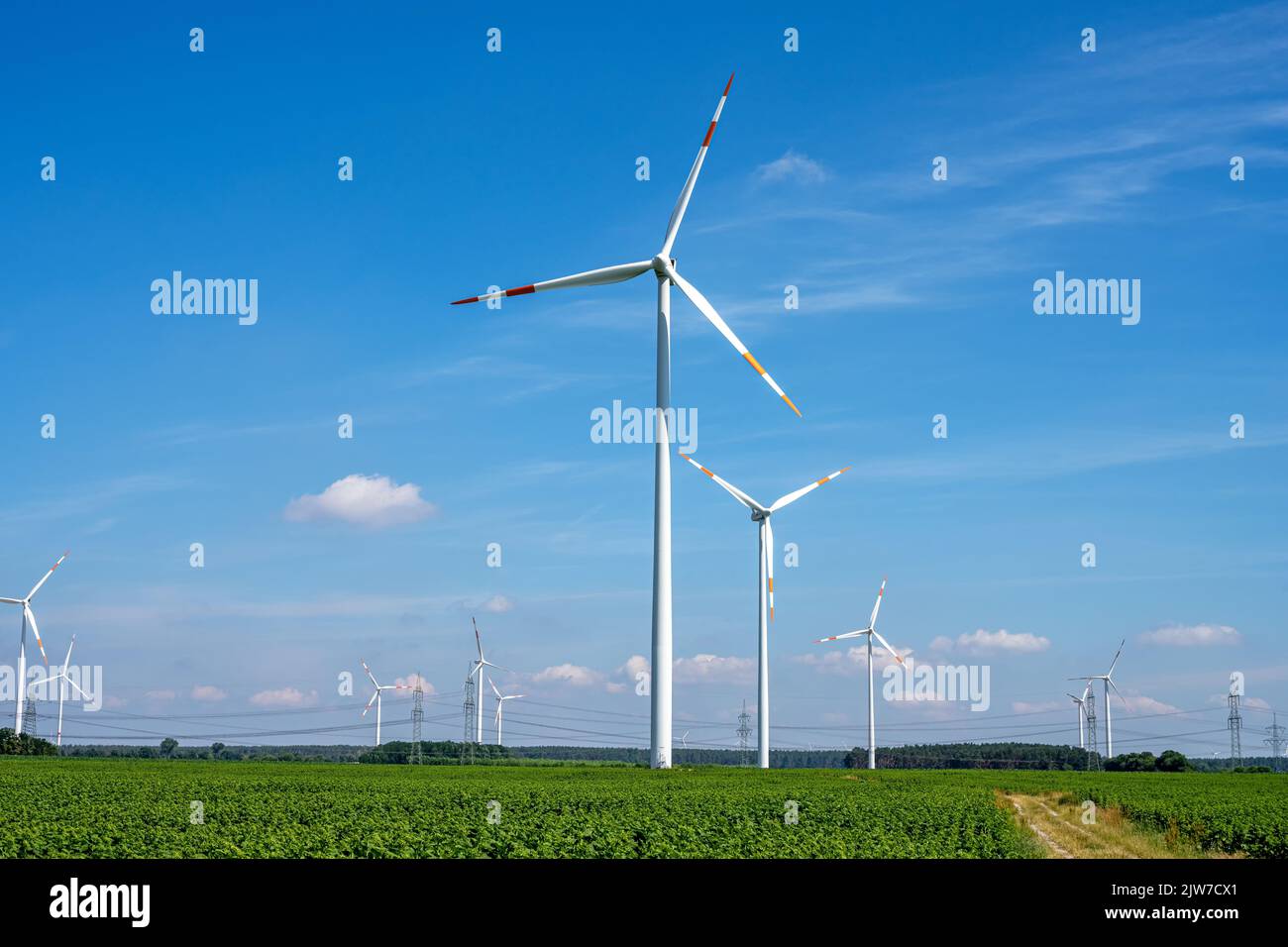Les centrales éoliennes entre les champs agricoles vus en Allemagne Banque D'Images