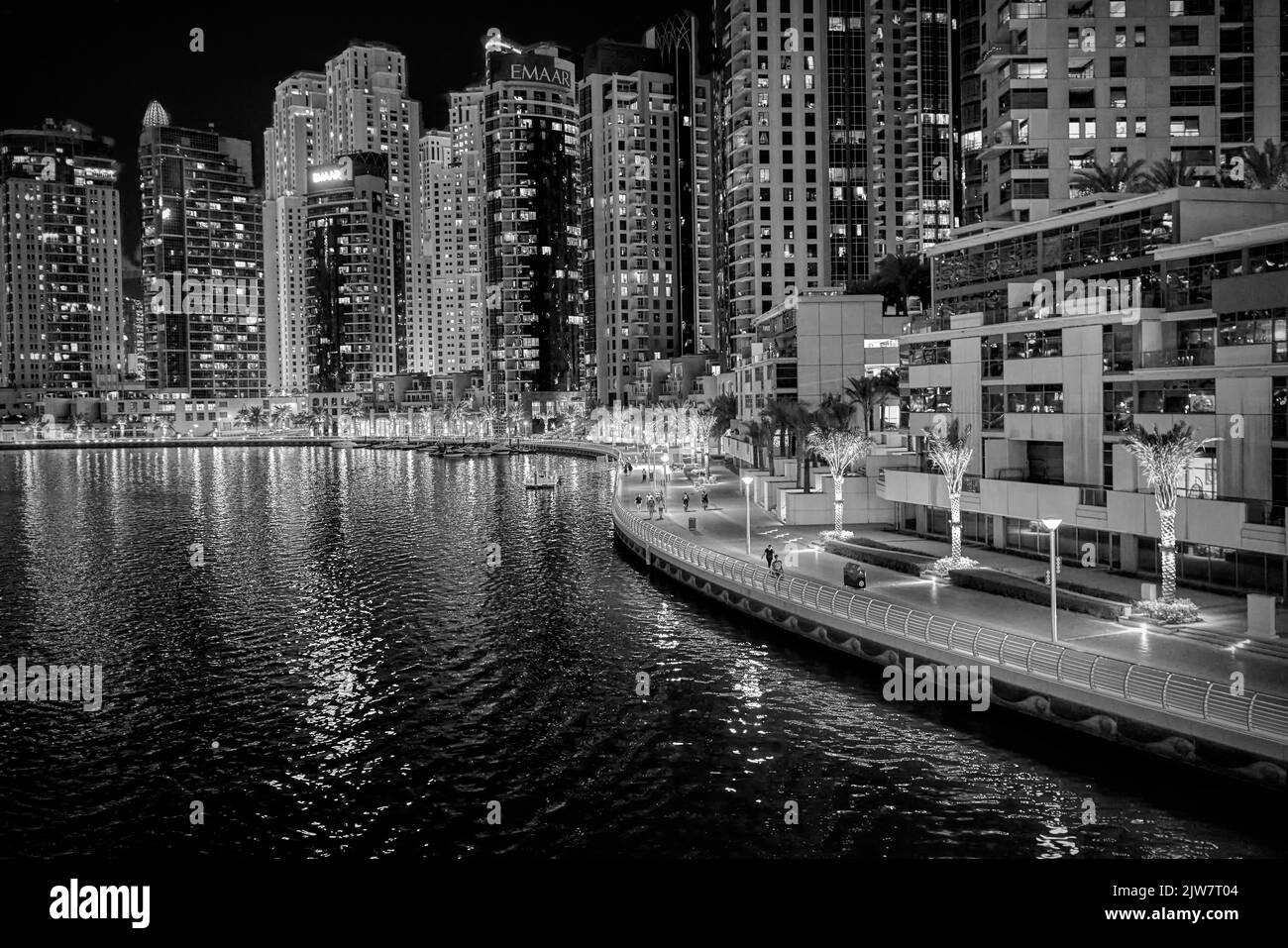 les palmiers poussent sur le front de mer à Dubaï, aux Émirats arabes Unis Banque D'Images