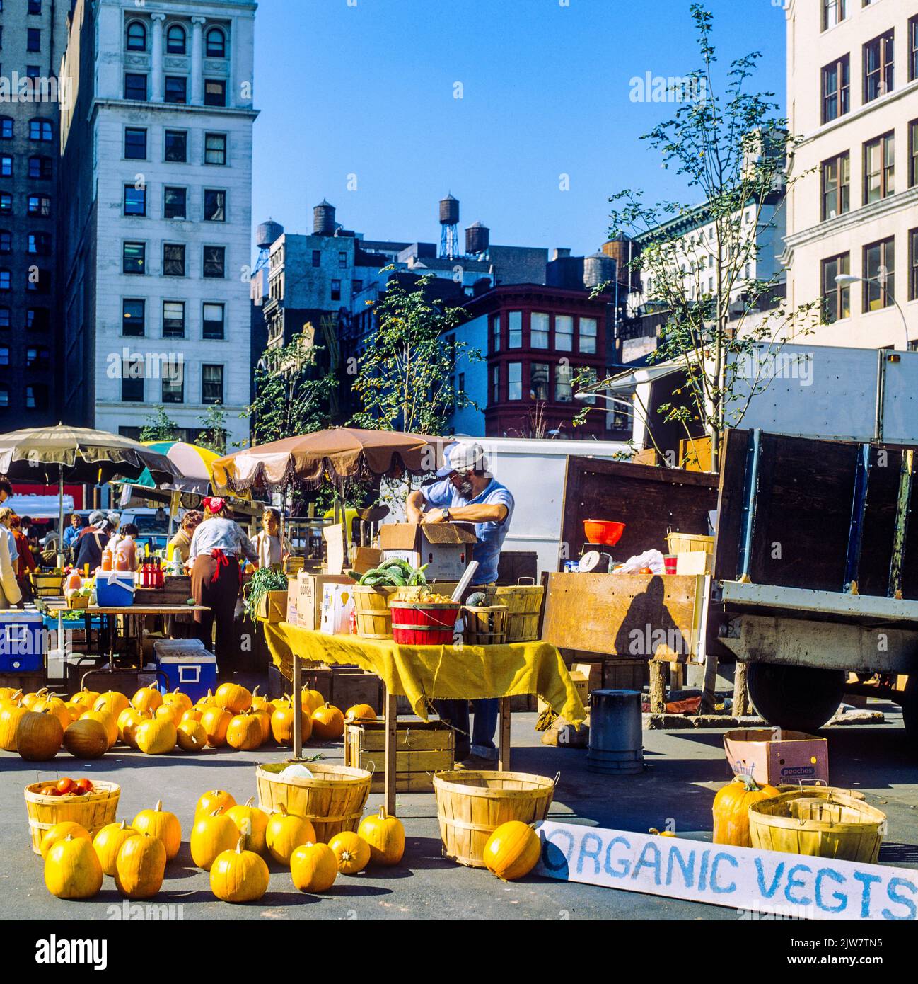 New York, 1980s, citrouilles à vendre, Union Square greenmarket, marché des agriculteurs biologiques, Manhattan, New York City, New York, New York, États-Unis, Banque D'Images