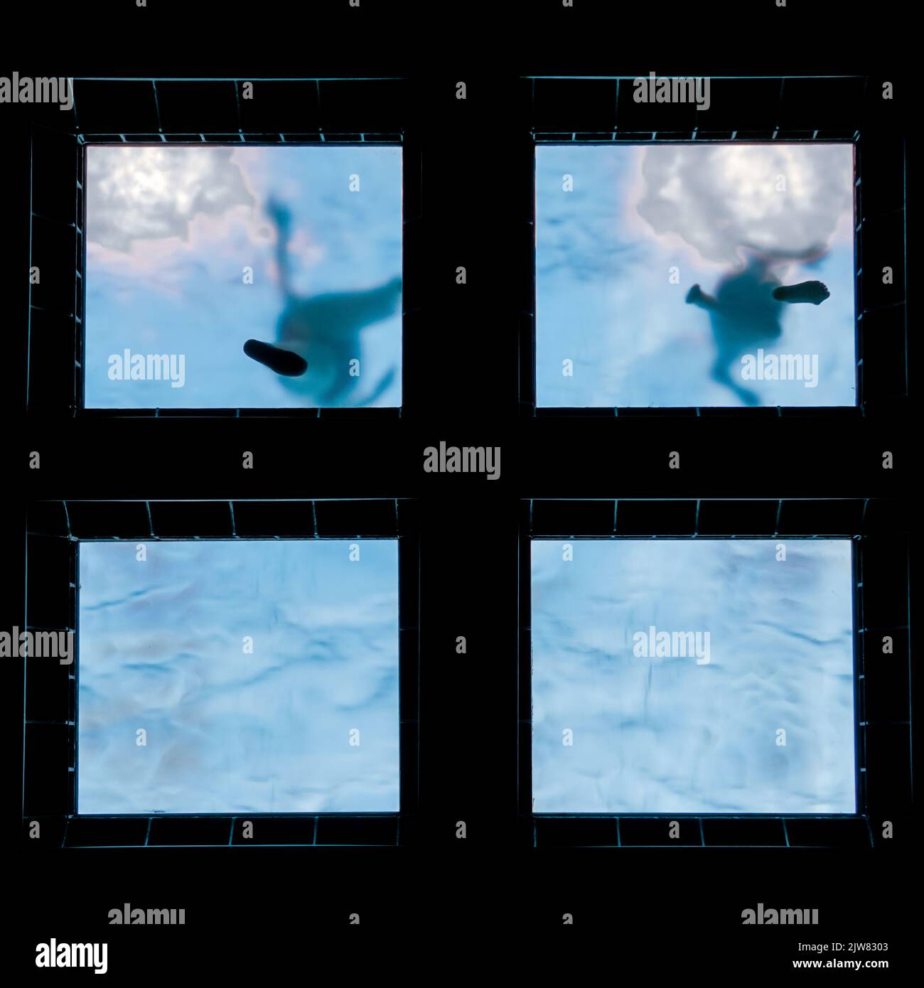 les personnes qui nagent dans la piscine, les activités et les loisirs Banque D'Images