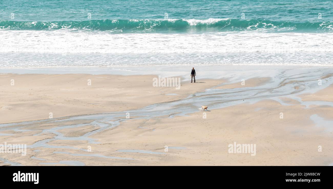 Prendre le chien pour une promenade sur la plage de sable de Gwithian Cornwall. Banque D'Images