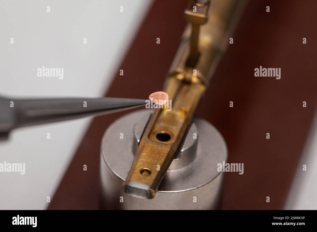 Le porte-échantillon du microscope électronique à transmission a été chargé avec un échantillon sur une grille Banque D'Images