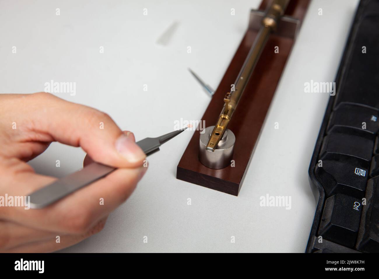 Le porte-échantillon du microscope électronique à transmission a été chargé avec un échantillon sur une grille Banque D'Images