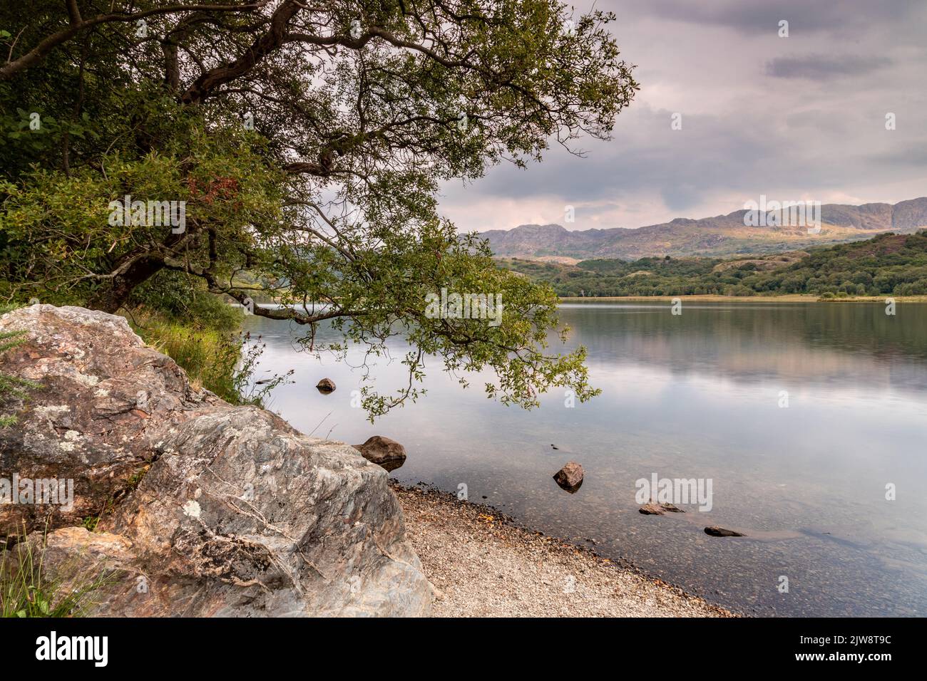 Llyn Dinas dans le parc national de Snowdonia, au nord du pays de Galles Banque D'Images