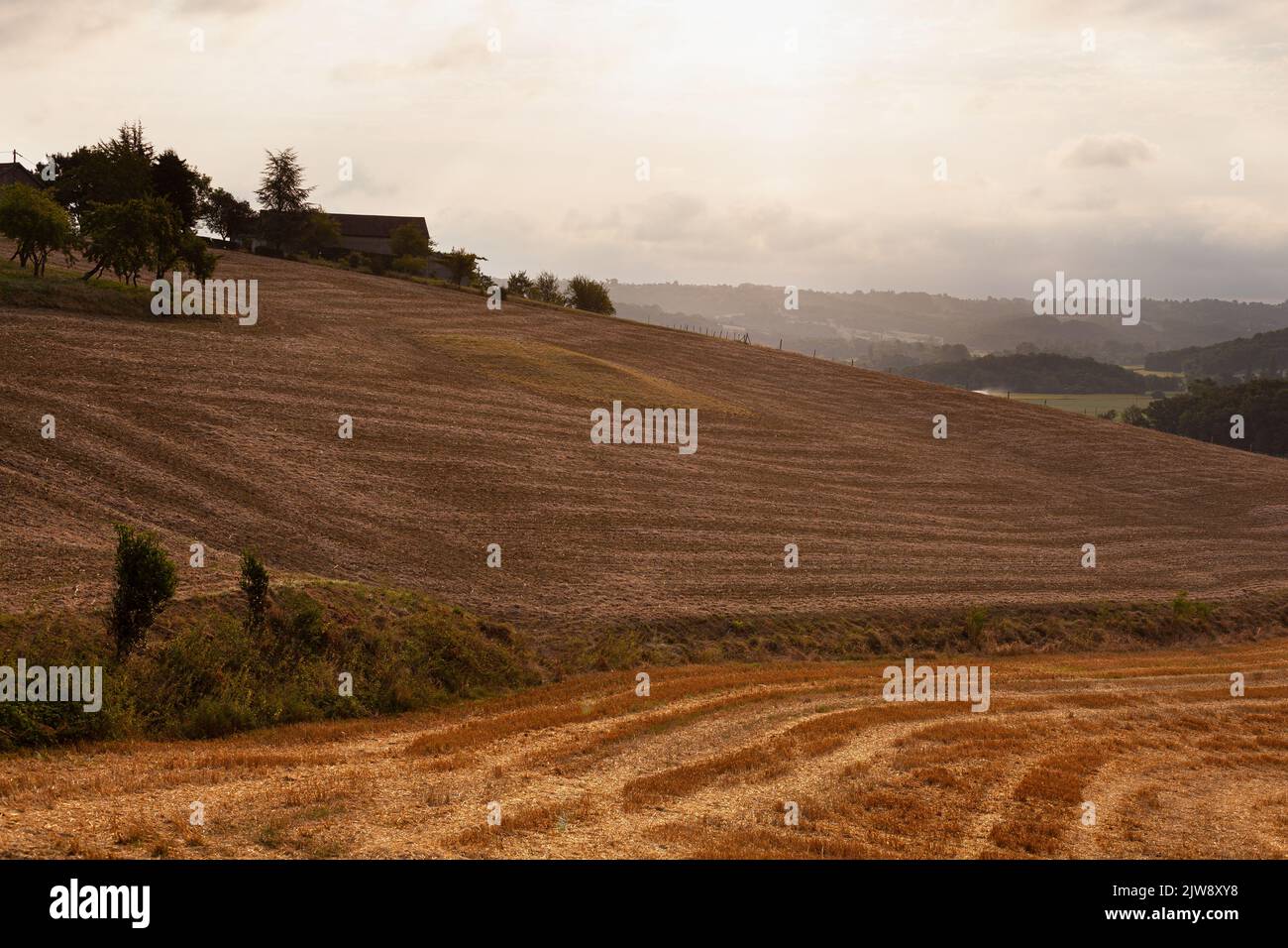 Tôt le matin, vue sur le champ le long du chemin du Puy, route française du chemin de St James Banque D'Images
