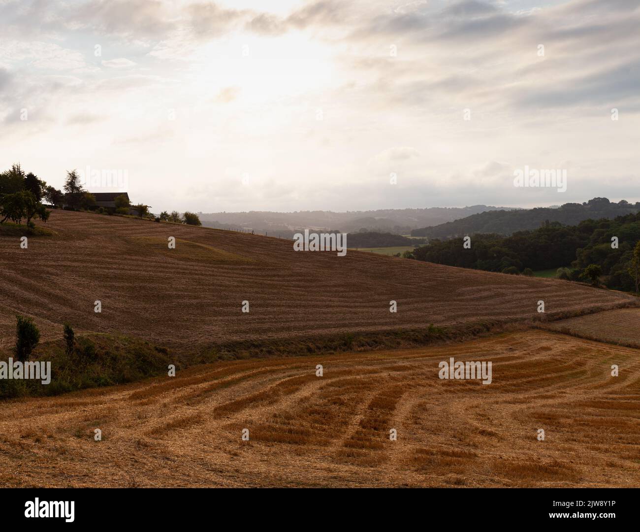 Tôt le matin, vue sur le champ le long du chemin du Puy, route française du chemin de St James Banque D'Images