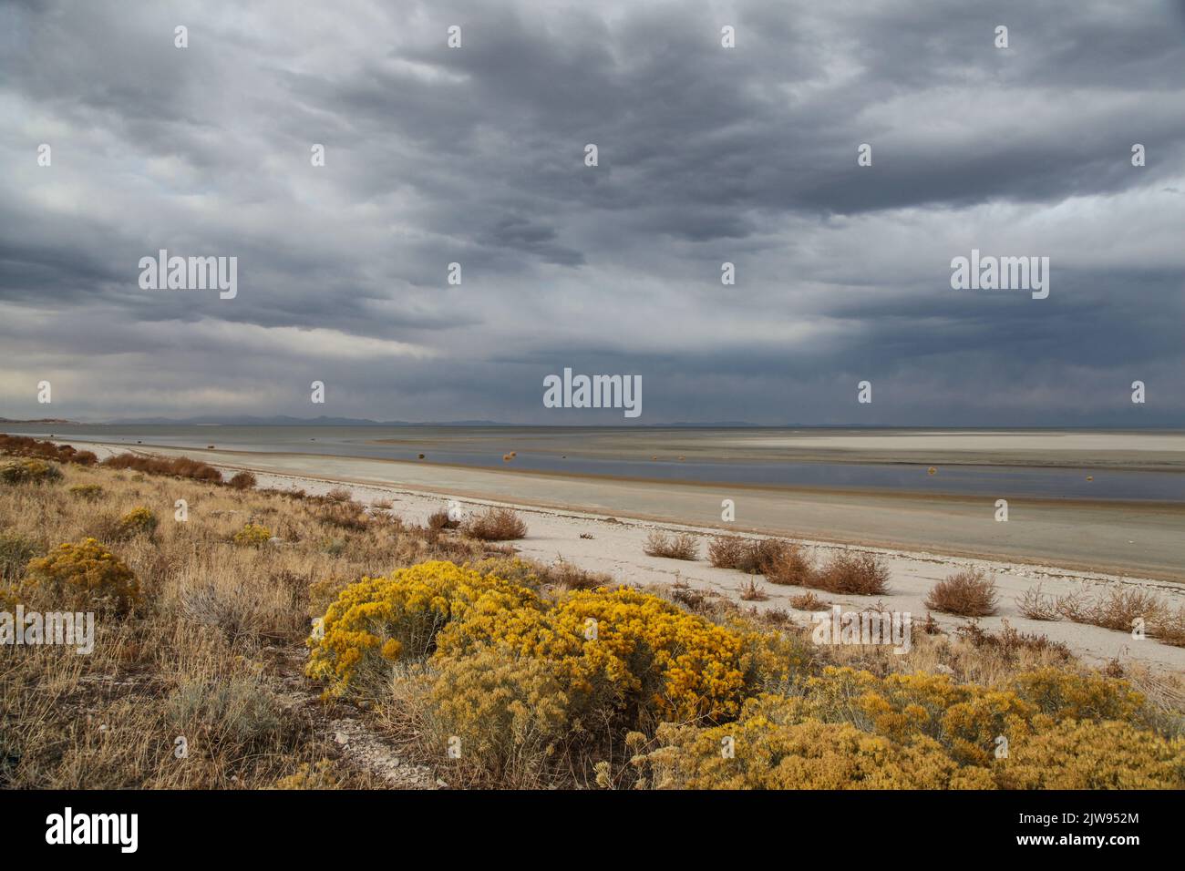 Une journée venteuse sur l'île Antelope dans le Grand lac Salt, Utah. Banque D'Images
