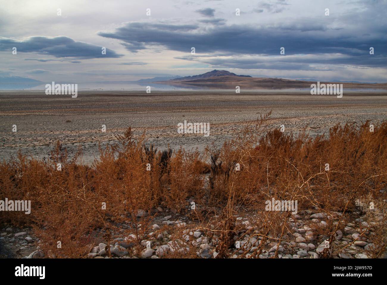Une journée venteuse sur l'île Antelope dans le Grand lac Salt, Utah. Banque D'Images