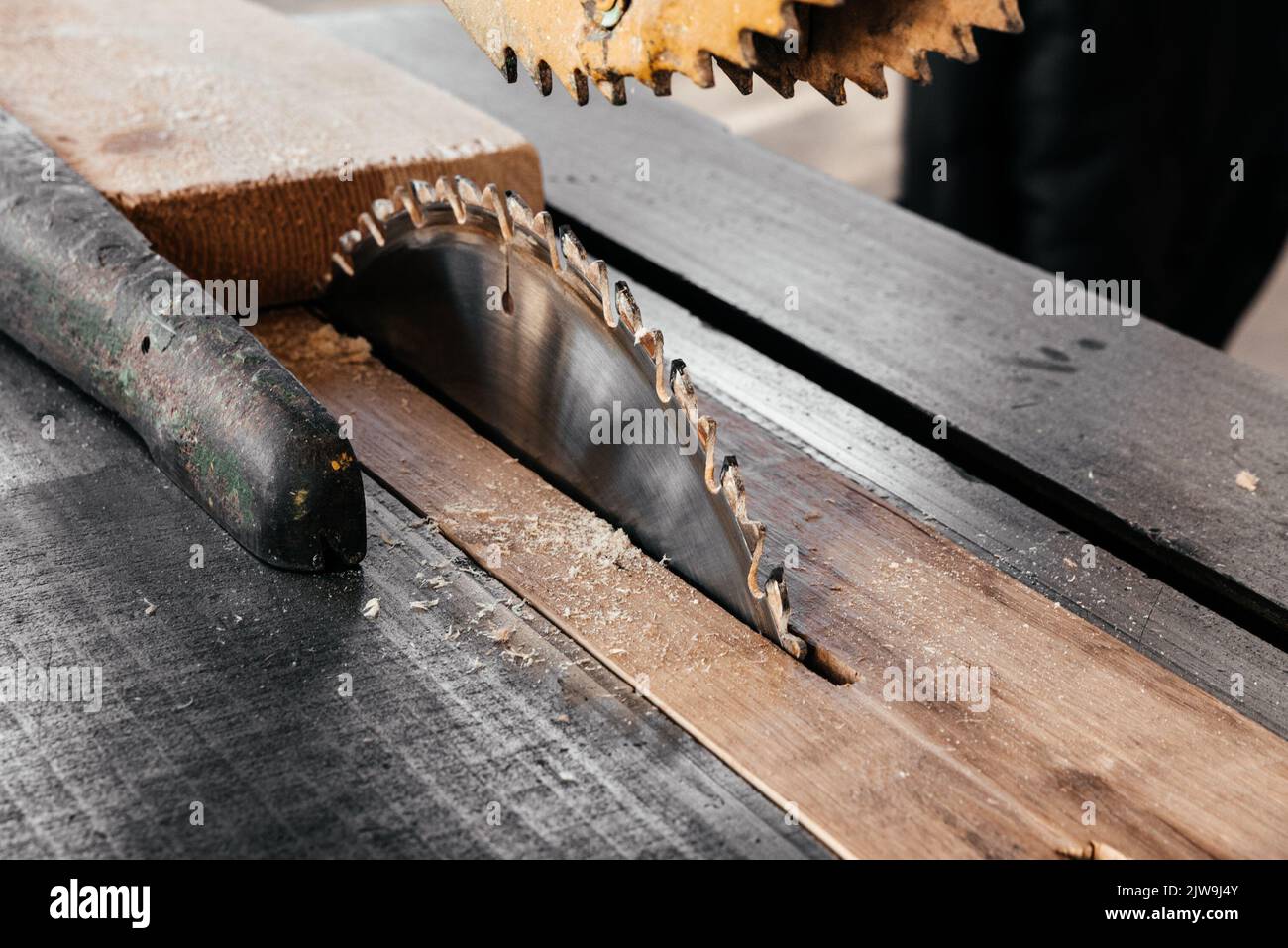 Travail du bois. Scie circulaire coupant des planches de pin Banque D'Images