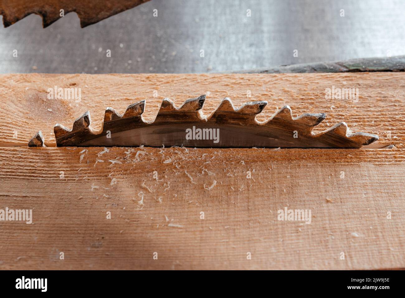 La lame d'une scie circulaire sur le bureau coupe une planche en pin. Banque D'Images