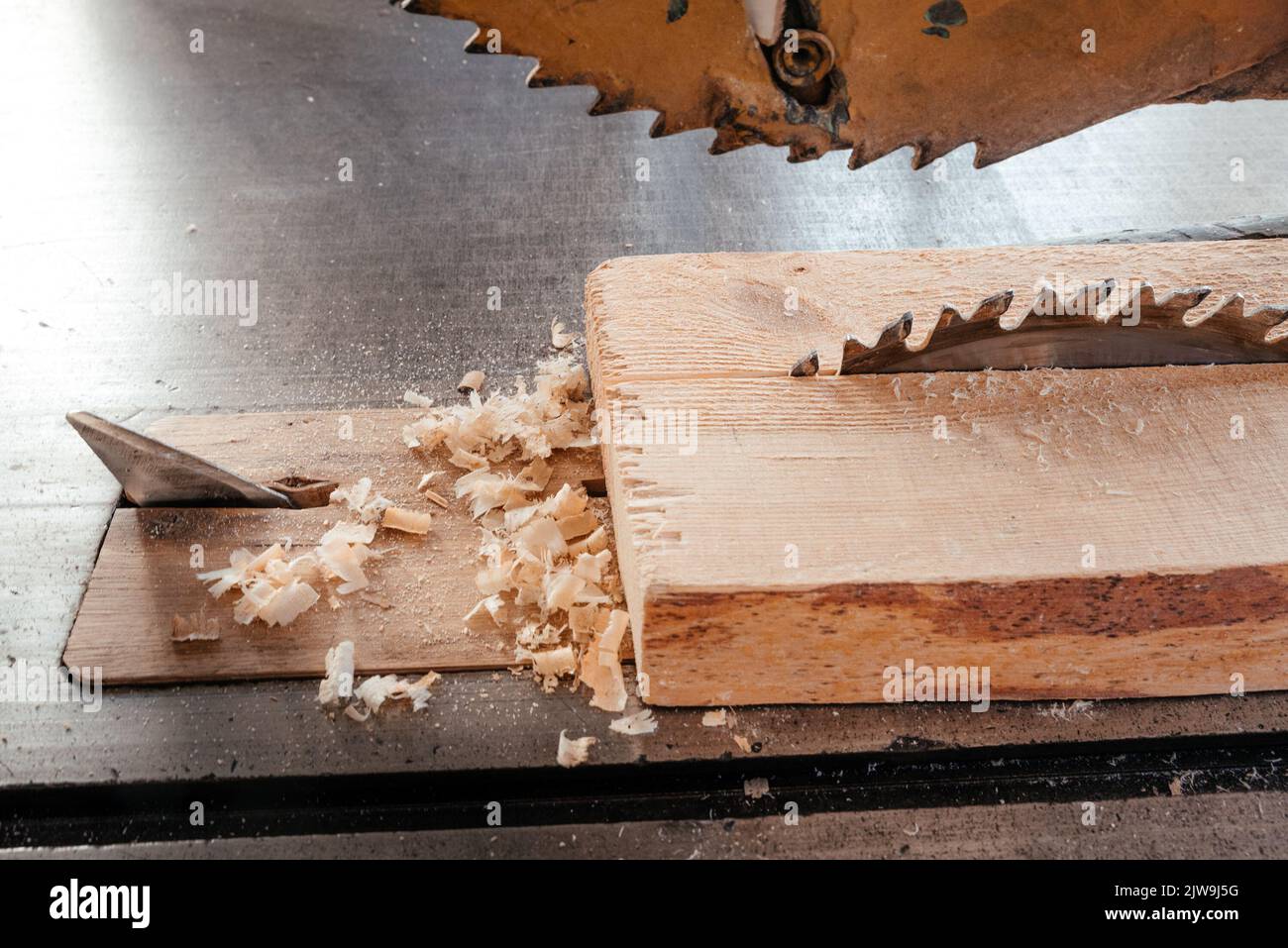 Travail du bois. Scie circulaire coupant des planches de pin Banque D'Images