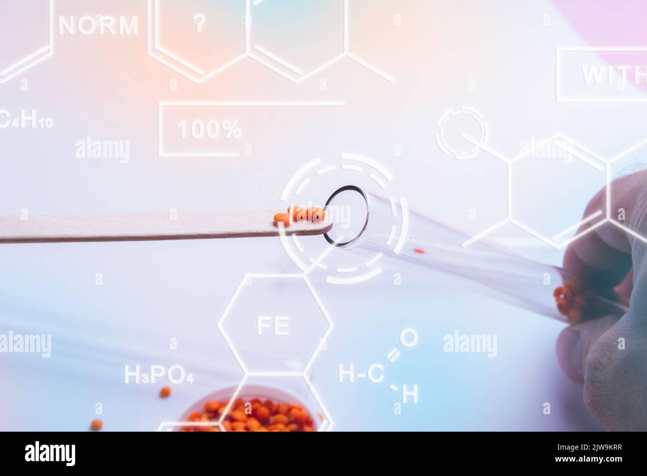 Recherche et développement de nouvelles variétés de semences. Sélection et sélection. Banque D'Images