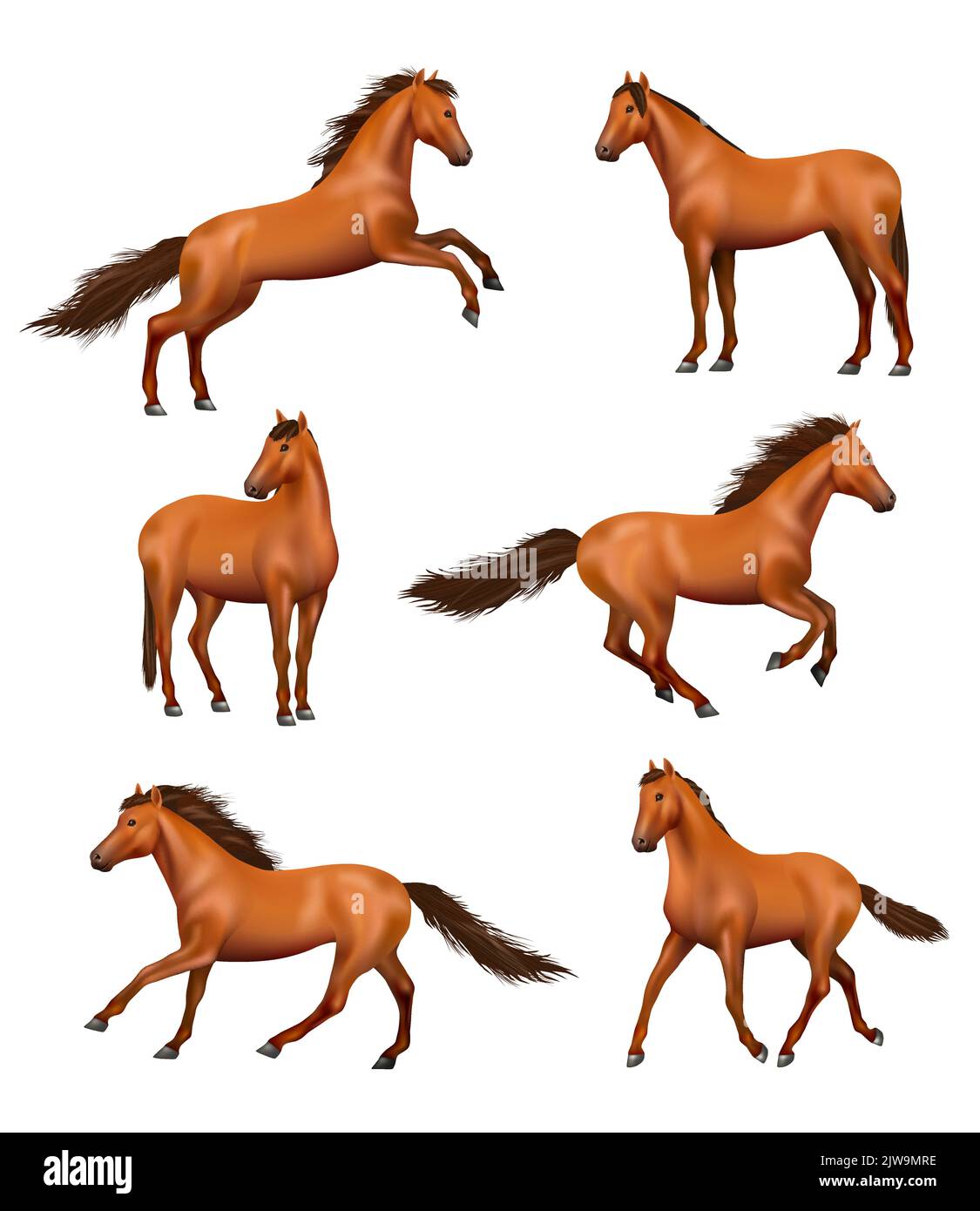 Réaliste. Chevaux galopants sauvages exécution rapide différentes actions pose décent vecteur illustrations ensemble Illustration de Vecteur