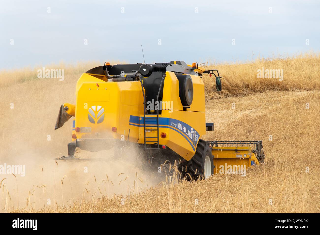 La moissonneuse-batteuse récolte du blé mûr. Thème de l'agriculture et des machines agricoles. Ismaili - Azerbaïdjan Banque D'Images